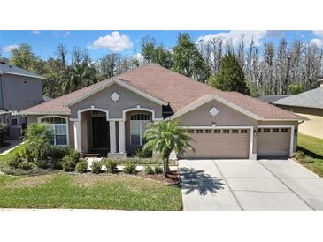 Charming single-story home with a well-manicured lawn and a three-car garage at 3033 Marble Crest Dr, Land O Lakes, FL 34638
