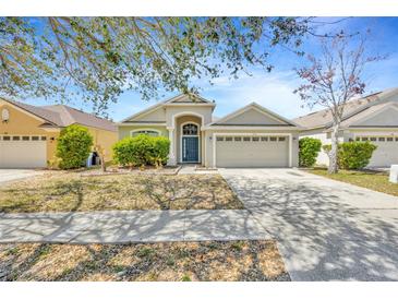 Charming single story home with a two car garage, a manicured front yard, and shade trees at 8714 Sandy Plains Dr, Riverview, FL 33578