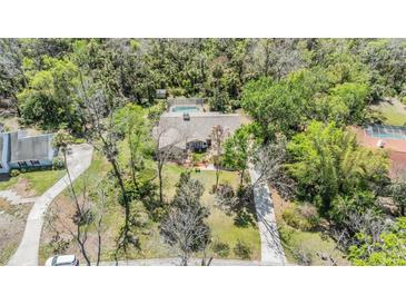 Gorgeous aerial view of a home featuring a pool and lush greenery at 401 Apache Trl, Brandon, FL 33511
