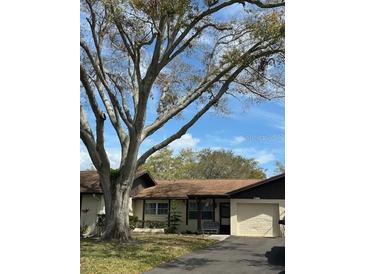 Charming single-story home featuring an attached garage and well-kept lawn at 1567 Patton Dr, Dunedin, FL 34698