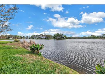 Scenic view of the tranquil lake, showcasing the property's serene and picturesque waterfront location at 540 Somerhill Ne Dr, St Petersburg, FL 33716