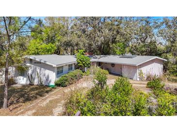 Charming single-story home with a well-maintained yard and mature trees, offering a serene and private setting at 10402 N Boulevard, Tampa, FL 33612