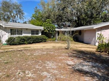 Single story home with an attached garage and mature landscaping at 10402 N Boulevard, Tampa, FL 33612