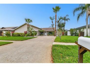 Charming single-Gathering home featuring a well-manicured lawn, palm trees, and a long, curved driveway at 6109 Schooner Way, Tampa, FL 33615