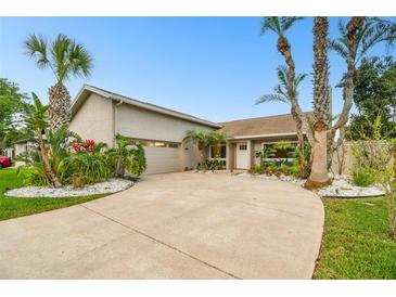 Well-maintained single-story house boasts a large curved driveway, palm trees, and a neatly kept front lawn at 6109 Schooner Way, Tampa, FL 33615