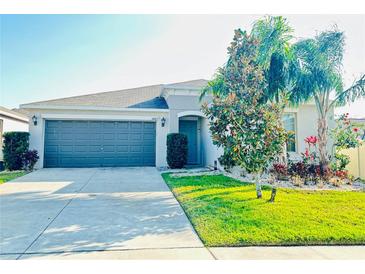 Charming single-story home featuring a well-maintained lawn, manicured landscaping, and a two-car garage at 10105 Paradise Fish Dr, Riverview, FL 33578