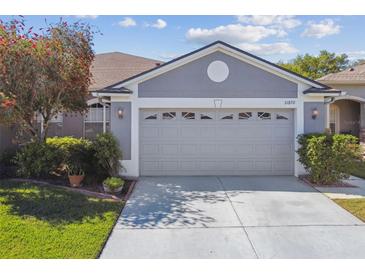 Home featuring a two-car garage with an expansive driveway, complemented by lush landscaping and manicured lawn at 31820 Blythewood Way, Wesley Chapel, FL 33543