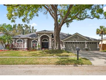 Charming single-story home with a well-manicured lawn and mature trees shading the front yard at 5627 Glencrest Blvd, Tampa, FL 33625