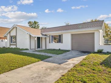 Charming single story home featuring a concrete driveway and well-maintained front lawn at 3646 Springfield Dr, Holiday, FL 34691