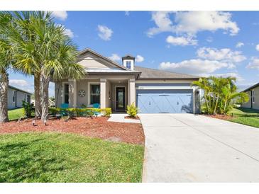 Charming single-Gathering home with a well-manicured lawn, blue garage door, and tropical palm trees at 8100 Olive Brook Dr, Wesley Chapel, FL 33545