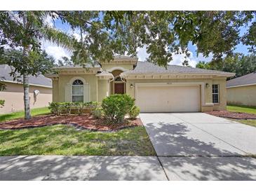 Charming single-Gathering home with a well-maintained lawn and a two-car garage and mature tree at 4515 Fieldview Cir, Wesley Chapel, FL 33545