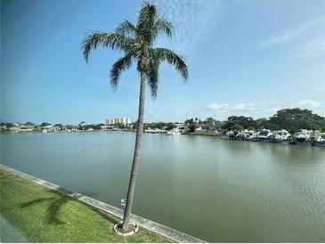 Scenic water view with a palm tree in the foreground and boats docked along the shoreline at 5935 30Th S Ave # 204, Gulfport, FL 33707
