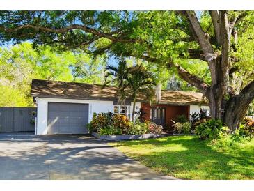 Charming single story home with a garage and beautiful, lush landscaping around the yard at 18846 Tracer Dr, Lutz, FL 33549