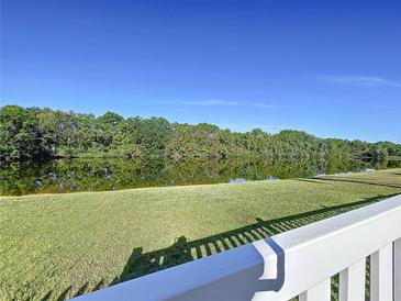 Scenic lake view from the property, featuring lush greenery and a clear blue sky at 6117 Crickethollow Dr, Riverview, FL 33578