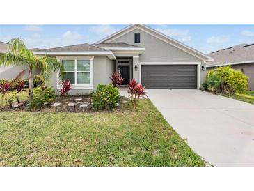 Charming single-story home featuring a well-manicured lawn, gray exterior, and a two-car garage at 14916 Imperial Purple Ln, Wimauma, FL 33598