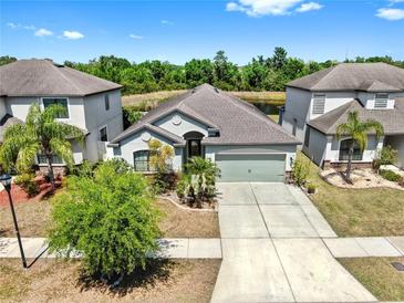 Charming single-story home featuring a well-manicured lawn, mature landscaping, and a two-car garage at 11872 Thicket Wood Dr, Riverview, FL 33579