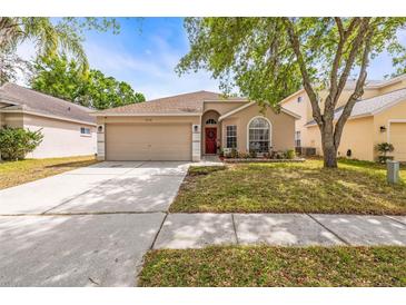 Charming single-story home with a well-maintained lawn, mature landscaping, and a welcoming red front door at 13438 White Elk Loop, Tampa, FL 33626