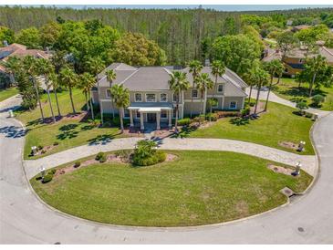 Stately home featuring lush landscaping, tall palm trees, and a circular brick paver driveway at 19005 Cour Ests, Lutz, FL 33558