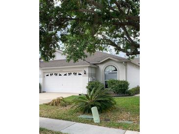 Charming single-story home featuring a two-car garage and well-maintained landscaping at 30049 Emmetts Ct, Wesley Chapel, FL 33543