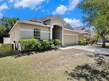 Charming single-story home with a two-car garage, manicured lawn, and well-maintained landscaping at 405 Laguna Mill Dr, Ruskin, FL 33570