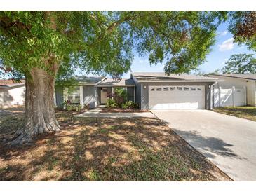 Inviting single-story home with a two-car garage, lush landscaping, and curb appeal at 8024 Timberlane Dr, Tampa, FL 33615