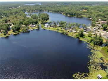 Beautiful aerial view showcases the lake and surrounding lush greenery and several homes at 14620 Geneva Dr, Odessa, FL 33556
