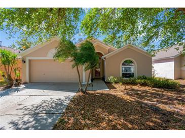 Charming one-story home with a well-manicured lawn, mature trees, and an attached two-car garage at 7607 Wiltshire Park Pl, Apollo Beach, FL 33572