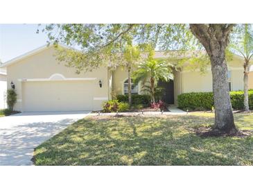 Charming single-story home with a well-maintained lawn and lush landscaping, offering inviting curb appeal at 10048 Cleghorn Dr, San Antonio, FL 33576