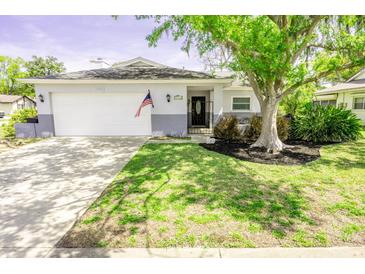 Charming single-story home featuring a well-maintained lawn and a two-car garage at 13116 Sheridan Dr, Hudson, FL 34667