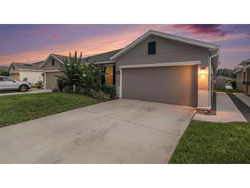 Single-Gathering home with gray stucco, concrete driveway, an attached garage, and landscaped yard at 18184 Turning Leaf Cir, Land O Lakes, FL 34638