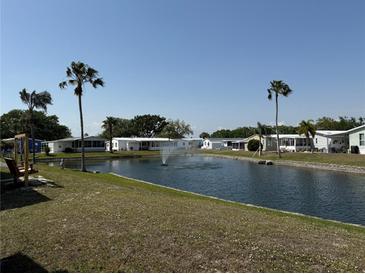 Picturesque community pond with a fountain surrounded by lush greenery and palm trees at 215 S Port Royal Ln, Apollo Beach, FL 33572