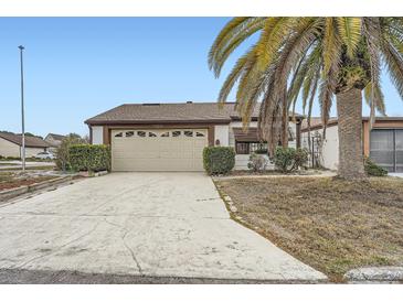 Charming home featuring a large garage, well-maintained landscaping, and a beautiful palm tree at 7509 Rocky Point Dr, Hudson, FL 34667
