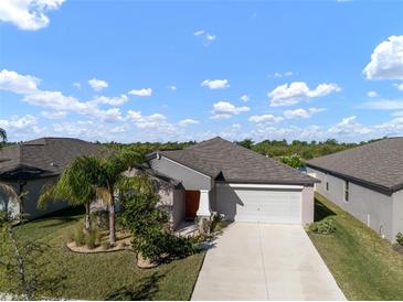 Charming single-story home showcasing a well-manicured lawn, palm trees and a two-car garage at 5425 Rainwood Meadows Dr, Apollo Beach, FL 33572