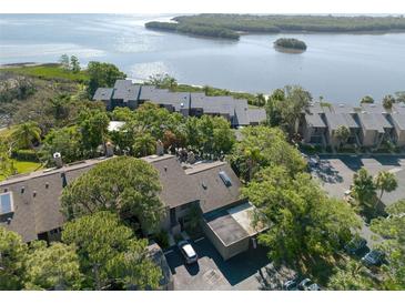 Stunning aerial view of waterfront property with lush landscaping and serene water views at 1111 N Bayshore Blvd # E3, Clearwater, FL 33759