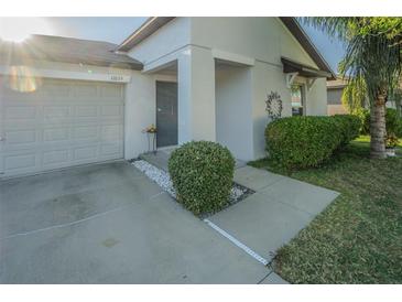 Charming single-story home with a well-maintained lawn and inviting front entrance at 12639 Lemon Pepper Dr, Riverview, FL 33578