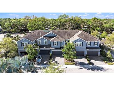 Aerial view of blue townhouses with dark garage doors, complemented by lush greenery and paved driveways at 1110 Rose Blossom Ct, Tampa, FL 33613