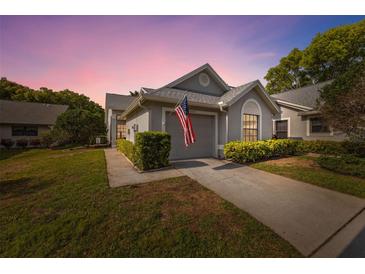 Charming home with a well-maintained lawn and an American flag hanging over the garage door at 3254 Lori Ln, New Port Richey, FL 34655