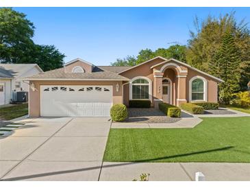 Charming single-story home featuring a manicured lawn and a two-car garage at 775 Brittany Park Blvd, Tarpon Springs, FL 34689