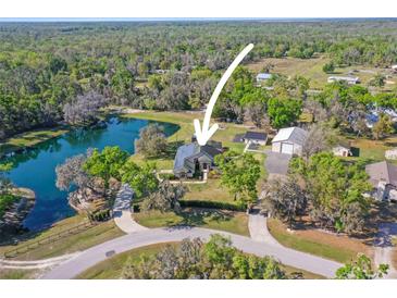 An aerial view of a home with a large private lake and a spacious property surrounded by lush greenery at 8403 Southwood Pines St, Lithia, FL 33547