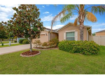 Charming single story home boasts beautiful landscaping, lawn, and palm tree at 8529 Hunters Fork Loop, Ruskin, FL 33573