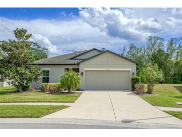 Charming single-story home featuring a well-manicured lawn and a spacious two-car garage at 12308 Chaya Ct, Spring Hill, FL 34610