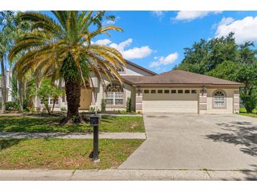 Charming single-Gathering home with a well-manicured lawn and mature palm trees at 15014 Arbor Hollow Dr, Odessa, FL 33556