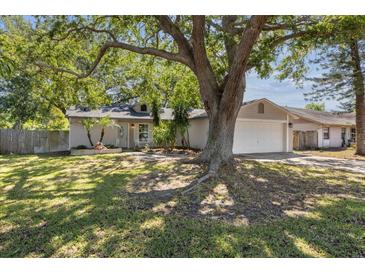 Charming single-story home with a well-maintained lawn and mature shade trees in a peaceful neighborhood at 1849 Diane Dr, Clearwater, FL 33759
