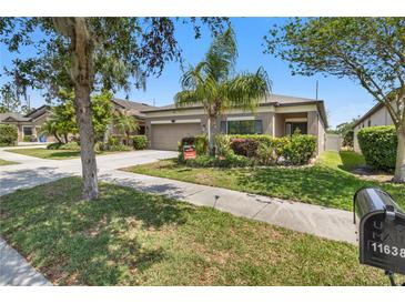Charming single-story home featuring a well-maintained lawn and inviting curb appeal at 11638 Palmetto Pine St, Riverview, FL 33569