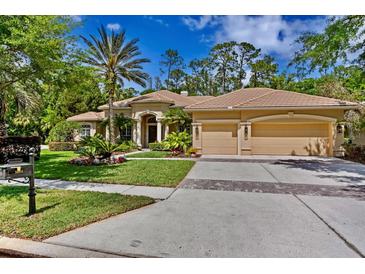 Inviting home featuring a three-car garage, lush landscaping and mature palm trees in the front yard at 5004 Waterkey Way, Tampa, FL 33647