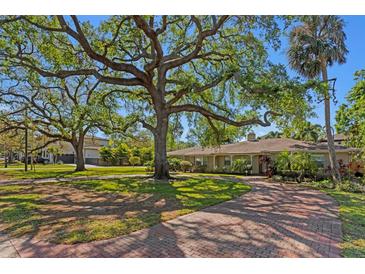 Charming one-story home with a brick driveway and mature landscaping providing ample shade at 4302 W Woodmere Rd, Tampa, FL 33609