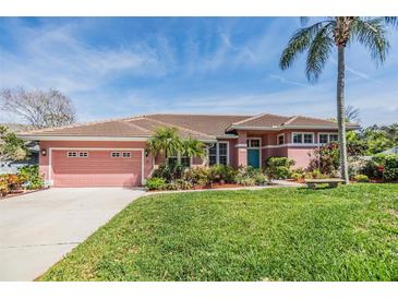 Charming single-story home featuring a beautiful lawn, colorful landscaping, and a welcoming pink garage door at 3136 Sandhill Dr, Holiday, FL 34691