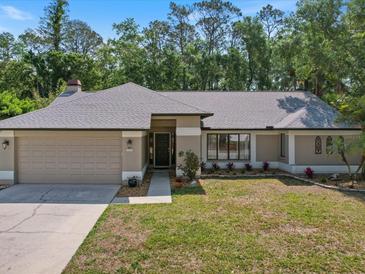 Charming one-story home with a manicured lawn, two car garage, and front landscaping at 3171 Roxmere Dr, Palm Harbor, FL 34685