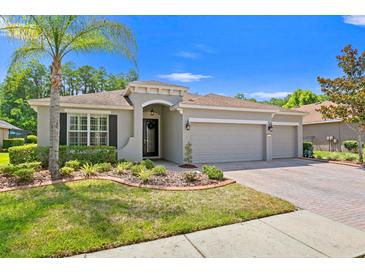 Charming single-story home featuring a three-car garage and beautifully landscaped front yard with a majestic palm tree at 3321 Mapleridge Dr, Lutz, FL 33558
