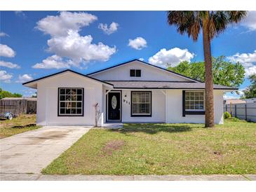 Charming home exterior with new front door, landscaping and a large palm tree at 911 Kirkcaldy Way, Valrico, FL 33594
